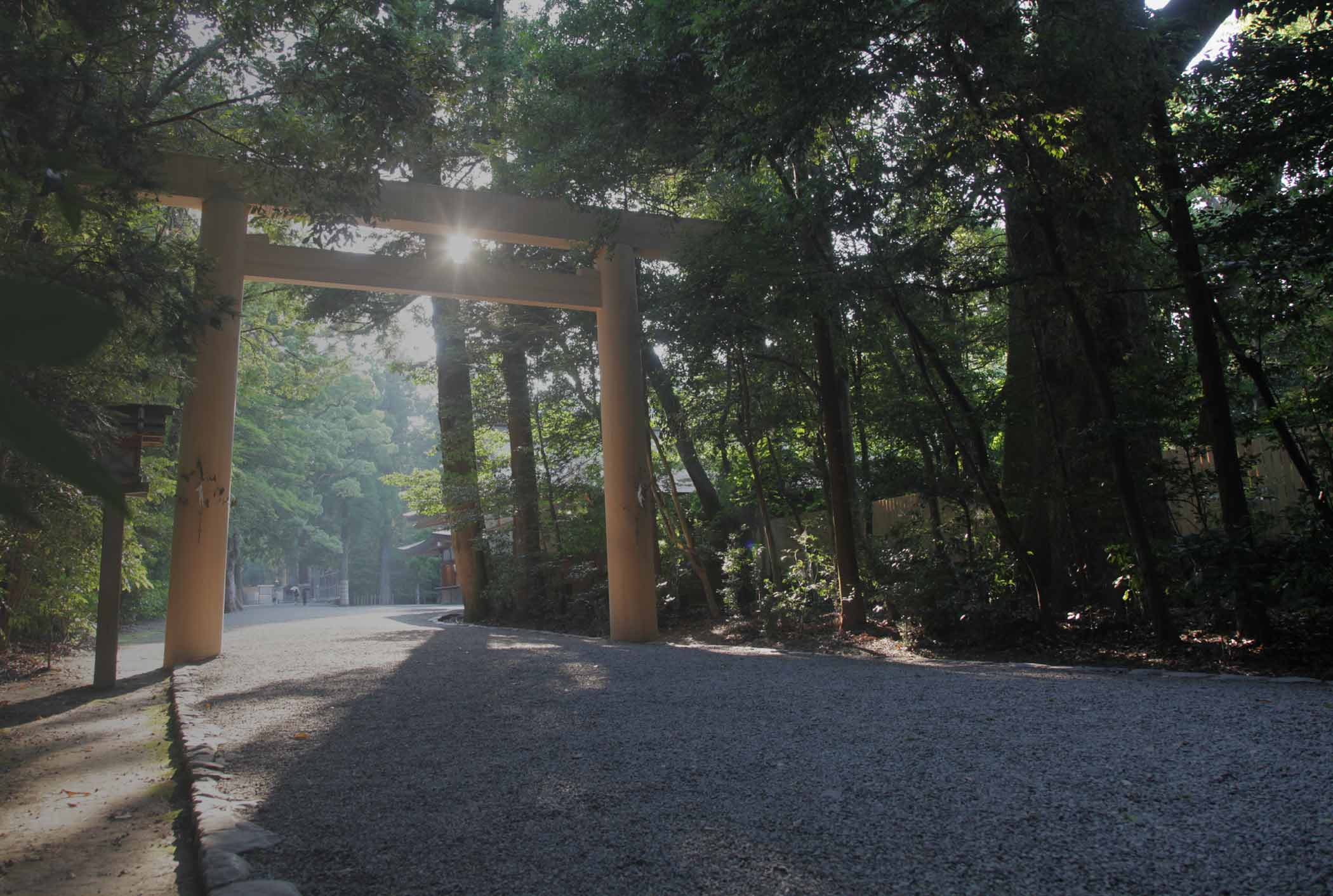 神岳テラスキャンピングパークの様子